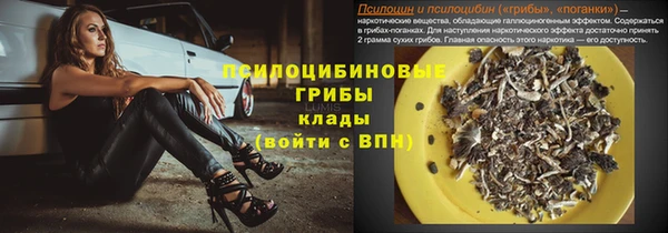 дурь Осинники